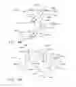 Fig. 29 - Surgical staple configurations with camming surfaces located between portions supporting surgical staples