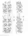 Fig. 31 - Surgical staple configurations with camming surfaces located between portions supporting surgical staples