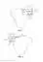 Fig. 02 - Device and method for allografting