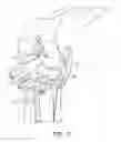 Fig. 08 - Tibial resection systems and methods for cruciate ligament retainment