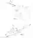 Fig. 02 - Surgical burs