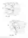 Fig. 05 - Surgical burs