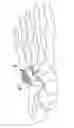 Fig. 01 - Method and cut guide for biplanar wedge osteotomy