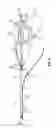 Fig. 05 - Devices and methods for soft tissue and endovascular material removal