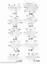 Fig. 05 - SYSTEM AND METHOD FOR ULTRASONICALLY SENSING AND ABLATING TISSUE