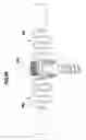 Fig. 43 - Connection element and spine stabilization system