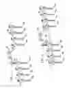 Fig. 09 - Pedicle screw having a removable rod coupling