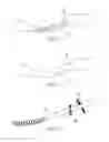 Fig. 12 - Flexible bone screw