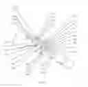 Fig. 25 - Method and appparatus for an intramedullary implant and method of implantation therefor