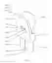 Fig. 40 - Method and appparatus for an intramedullary implant and method of implantation therefor