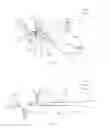 Fig. 48 - Method and appparatus for an intramedullary implant and method of implantation therefor