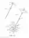 Fig. 10 - Systems and methods for vertebral or other bone structure height restoration and stabilization