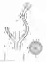 Fig. 15 - Neuromodulation cryotherapeutic devices and associated systems and methods
