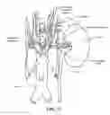 Fig. 68 - Neuromodulation cryotherapeutic devices and associated systems and methods