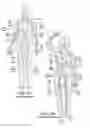 Fig. 70 - Neuromodulation cryotherapeutic devices and associated systems and methods
