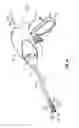 Fig. 02 - Apparatus for performing an electrosurgical procedure