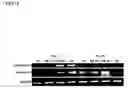 Fig. 13 - Implant body