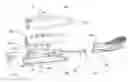Fig. 01 - Toothbrush with a controlled transmission direction of vibration