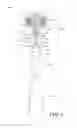 Fig. 04 - ORAL HYGIENE SYSTEMS AND METHODS
