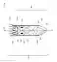 Fig. 05 - ENDOGRAFT WITH ONE OR MORE APERTURES