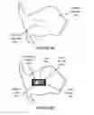 Fig. 08 - Methods and apparatus for treating glottic insufficiency