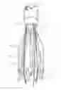 Fig. 01 - Methods and apparatus for endovascularly replacing a heart valve