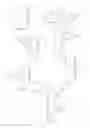 Fig. 03 - Porous implant structures
