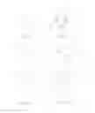 Fig. 20 - Porous implant structures