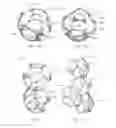 Fig. 23 - Porous implant structures