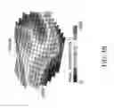 Fig. 06 - Customized bendable osteochondral allografts