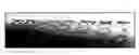 Fig. 01 - Helical hybrid stent