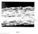 Fig. 02 - Helical hybrid stent