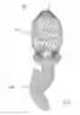 Fig. 35 - Intragastric device for treating obesity