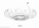 Fig. 43 - Intragastric device for treating obesity