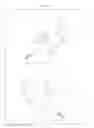 Fig. 09 - PAD AND SUPPORTER