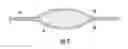 Fig. 03 - Absorbent Article Having A High Content Of Bio-Based Materials