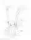 Fig. 07 - Dual muscle roller