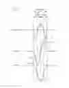 Fig. 07 - System and method for distinguishing manual from automated CPR