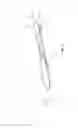 Fig. 06 - Spoon for Administering a Carrier Medium