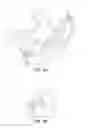 Fig. 08 - Teether