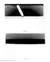 Fig. 02 - COMPOSITIONS AND METHODS FOR DISGUISING DERMATOLOGICAL BLEMISHES