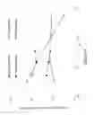 Fig. 03 - Phospholipid depot