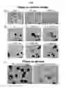 Fig. 05 - NOVEL DROPLET-EMBEDDED MICROFIBERS, AND METHODS AND DEVICES FOR PREPARING AND USING SAME