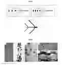 Fig. 12 - NOVEL DROPLET-EMBEDDED MICROFIBERS, AND METHODS AND DEVICES FOR PREPARING AND USING SAME