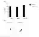 Fig. 08 - Methods and compositions for treating conditions associated with an abnormal inflammatory responses
