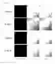 Fig. 09 - COMPOSITION FOR INDUCING TUMOR IMMUNITY