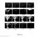 Fig. 24 - PHARMACEUTICALLY ACCEPTABLE SALTS OF beta-GUANIDINOPROPIONIC ACID WITH IMPROVED PROPERTIES AND USES THEREOF