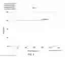 Fig. 06 - Pharmaceutically acceptable salts of B-guanidinopropionic acid with improved properties and uses thereof