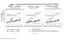 Fig. 03 - Methods of treating myeloma and lymphoma using compositions containing an ion pair of a lipoic acid derivative