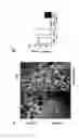 Fig. 05 - PHARMACEUTICAL COMPOSITIONS FOR INHIBITING THE OSTEOCLAST DIFFERENTIATION COMPRISING EUPATILIN